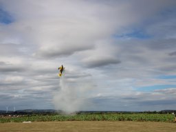 rodenberg2025 107
